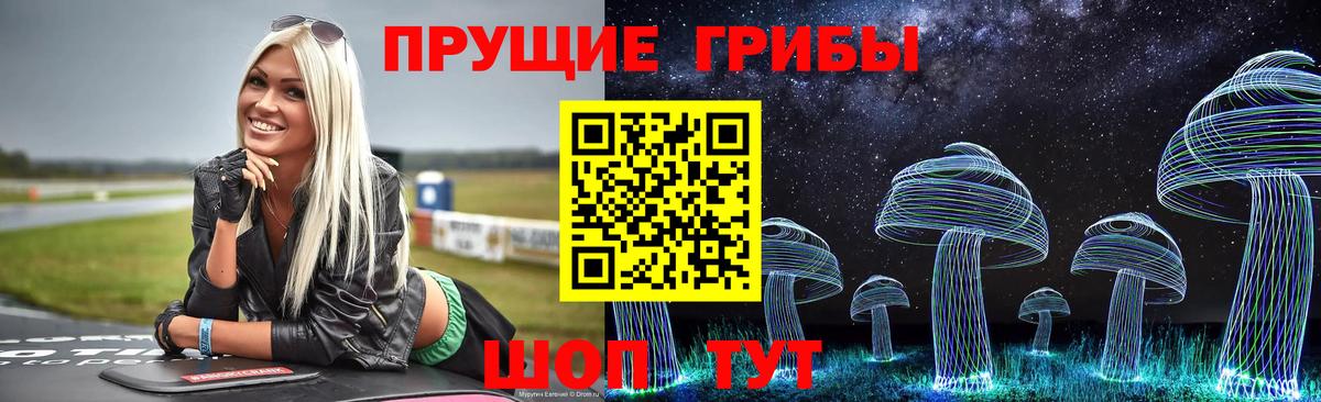Псилоцибиновые грибы мицелий Энгельс