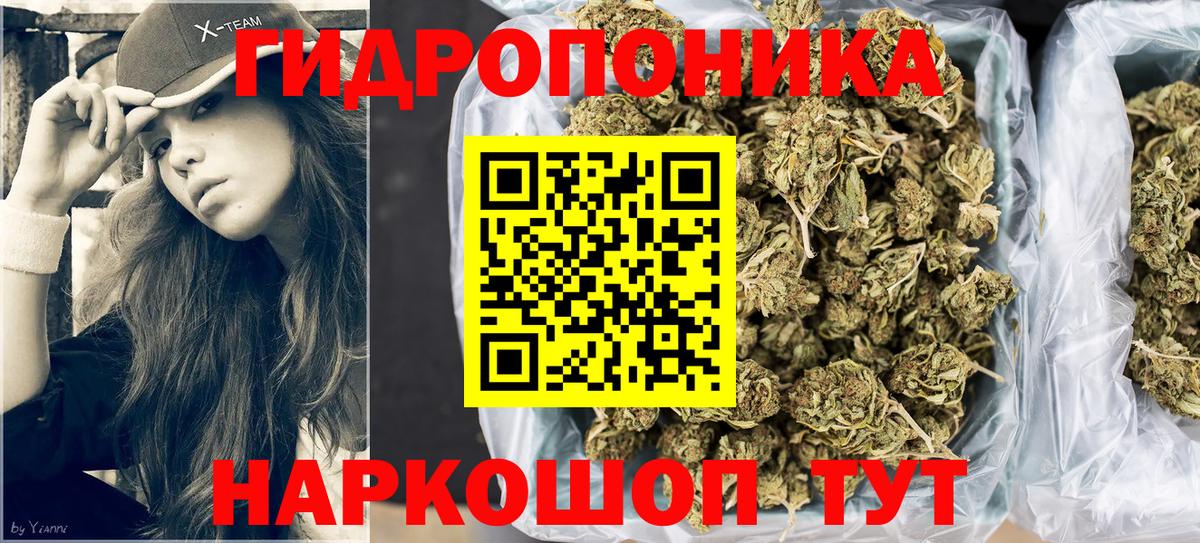 Марихуана семена Энгельс