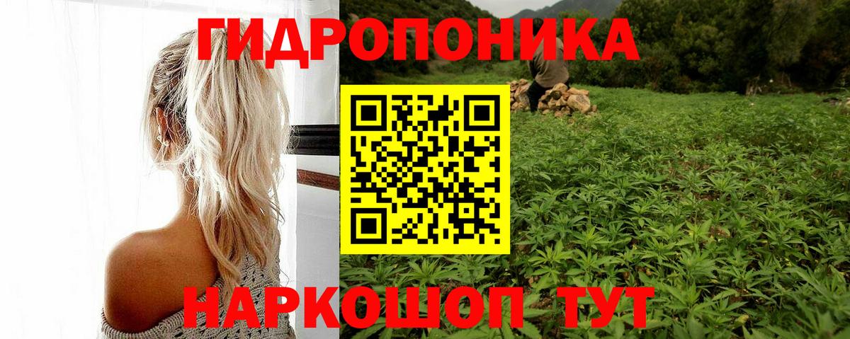 Энгельс  Конопля план  МАРИХУАНА White Widow  Шишки марихуана Amnesia  Каннабис конопля  Вход с VPN 